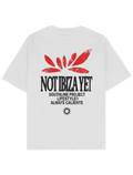 IBIZA