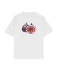 FIG